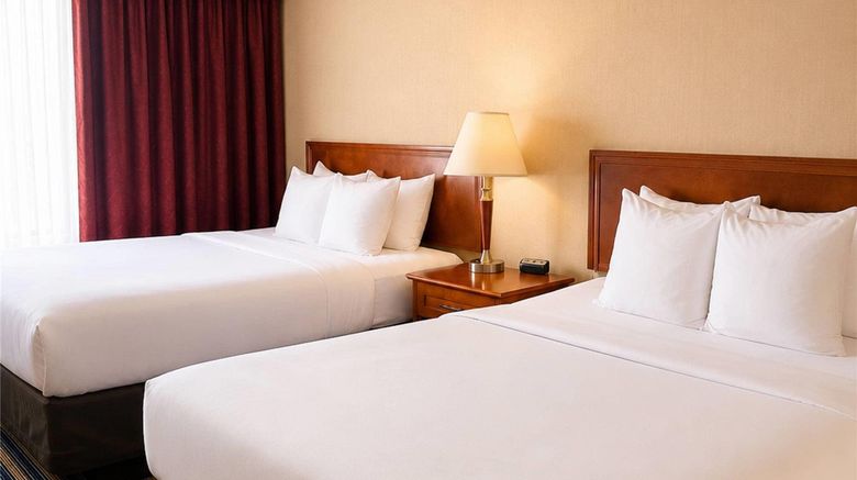 <b>Comfort Inn & Suites Ambassador Bridge Room</b>. Images powered by <a href="https://iceportal.shijigroup.com/" title="IcePortal" target="_blank">IcePortal</a>.
