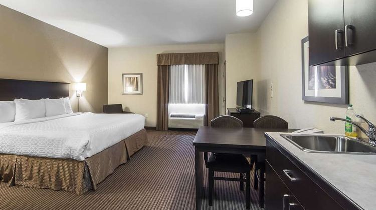 Quality Inn & Suites, a Thompson Hotel Room
