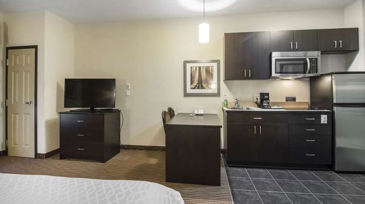 Quality Inn & Suites, a Thompson Hotel Room