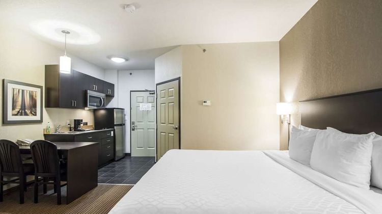 Quality Inn & Suites, a Thompson Hotel Room