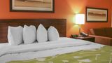 <b>Econo Lodge Room</b>. Images powered by <a href="https://iceportal.shijigroup.com/" title="IcePortal" target="_blank">IcePortal</a>.