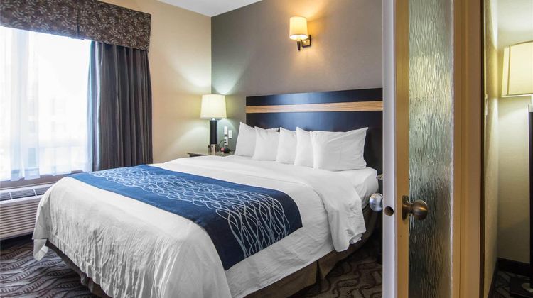 Comfort Inn & Suites Fort Saskatchewan Room