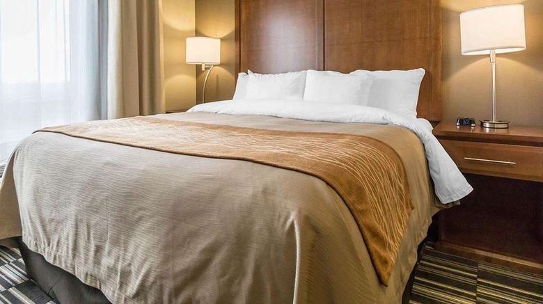 <b>Comfort Inn & Suites Edmonton Intl Room</b>. Images powered by <a href="https://iceportal.shijigroup.com/" title="IcePortal" target="_blank">IcePortal</a>.