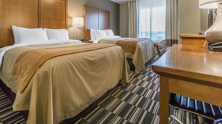 Comfort Inn & Suites Edmonton Intl Room