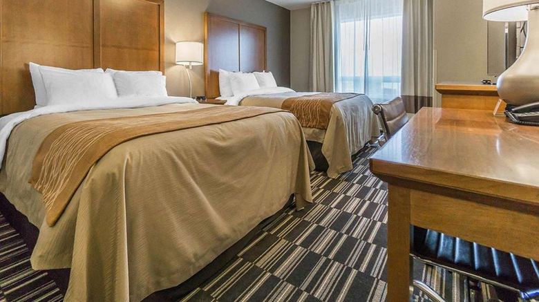 <b>Comfort Inn & Suites Edmonton Intl Room</b>. Images powered by <a href="https://iceportal.shijigroup.com/" title="IcePortal" target="_blank">IcePortal</a>.