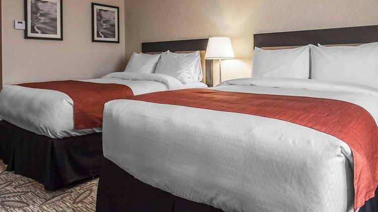 Quality Inn & Suites Kingston Room