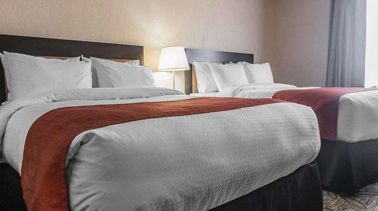 Quality Inn & Suites Kingston Room