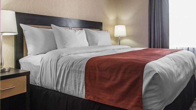 Quality Inn & Suites Kingston Room
