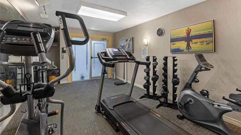 <b>Quality Inn & Suites Mississauga Health</b>. Images powered by <a href="https://iceportal.shijigroup.com/" title="IcePortal" target="_blank">IcePortal</a>.