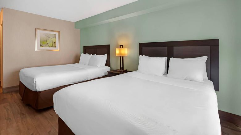<b>Quality Inn & Suites Mississauga Room</b>. Images powered by <a href="https://iceportal.shijigroup.com/" title="IcePortal" target="_blank">IcePortal</a>.