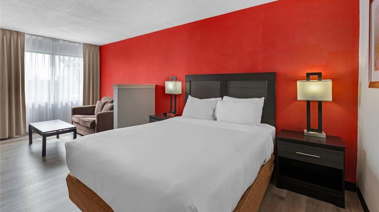 Quality Inn & Suites Mississauga Suite