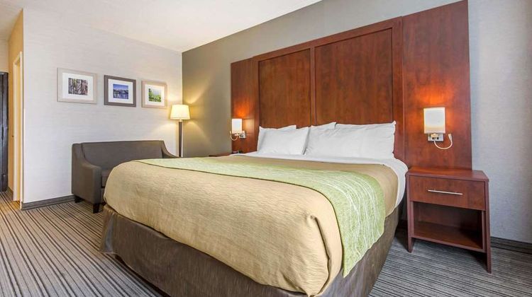 Comfort Inn & Suite Collingwood Room