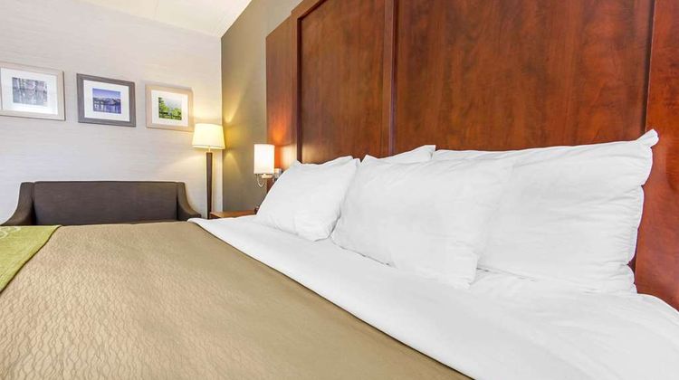 Comfort Inn & Suite Collingwood Room