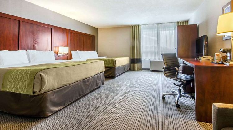 Comfort Inn & Suite Collingwood Room