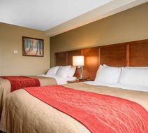 Comfort Inn Langley/Aldergrove Room