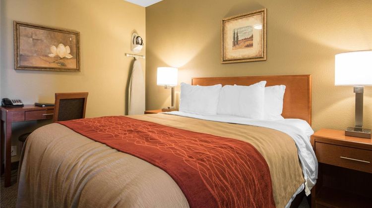 Comfort Inn Langley/Aldergrove Suite