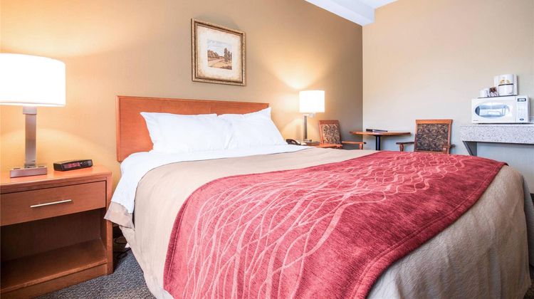 Comfort Inn Langley/Aldergrove Room