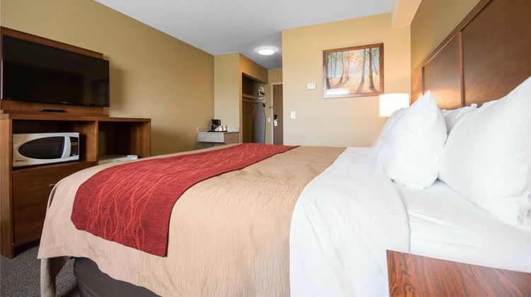 Comfort Inn Langley/Aldergrove Room