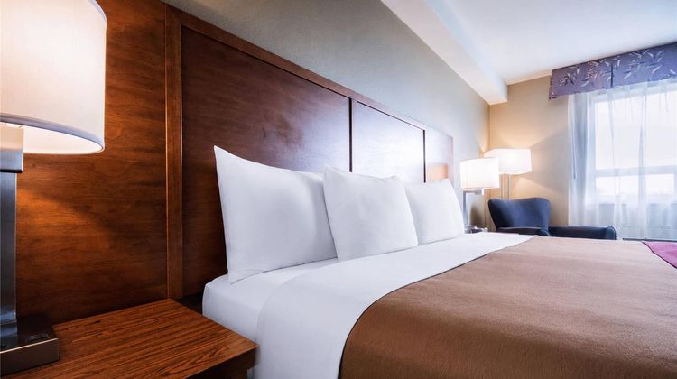 Comfort Inn Langley/Aldergrove Room