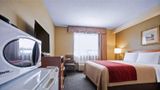 Comfort Inn Langley/Aldergrove Suite