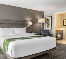 Amsterdam Inn & Suites Room