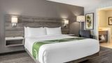 Quality Inn & Suites Amsterdam Room