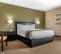 Quality Inn and Suites Quispamsis Room