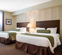 Quality Inn & Conference Centre Room