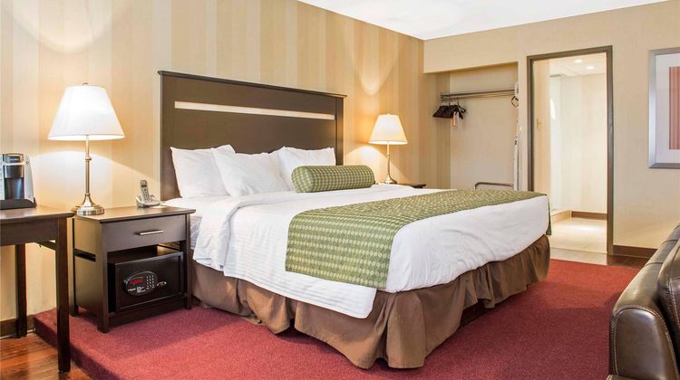 Quality Inn & Conference Centre Suite