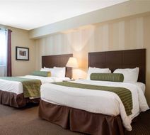 Quality Inn & Conference Centre Room