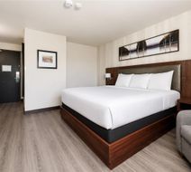 Quality Inn & Conference Centre Room