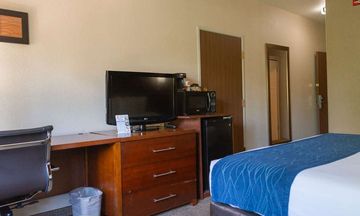 Comfort Inn North