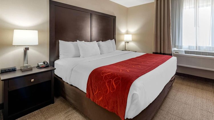 Comfort Suites Highlands Ranch Suite