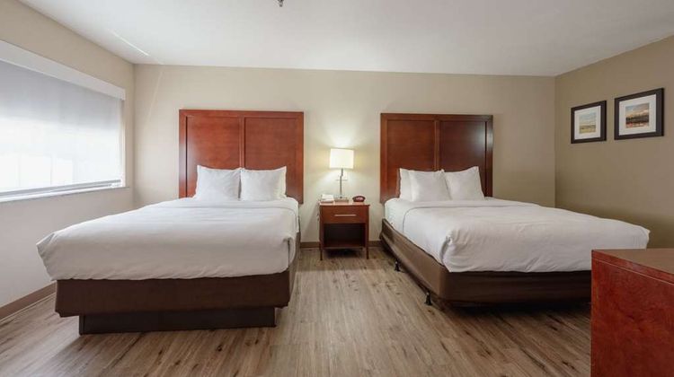 Comfort Inn & Suites Suite