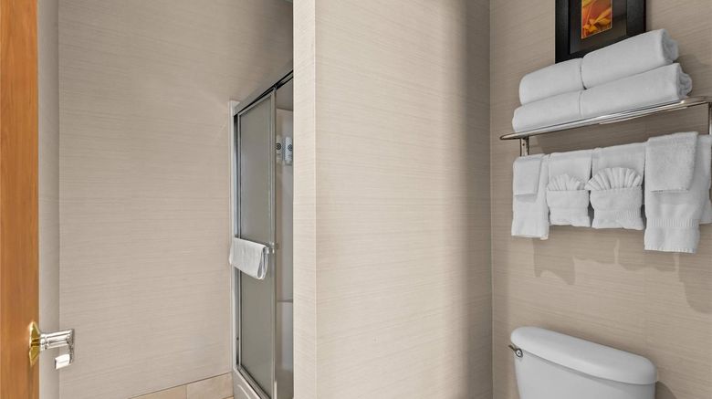 <b>Comfort Suites Denver Tech Center Room</b>. Images powered by <a href="https://iceportal.shijigroup.com/" title="IcePortal" target="_blank">IcePortal</a>.
