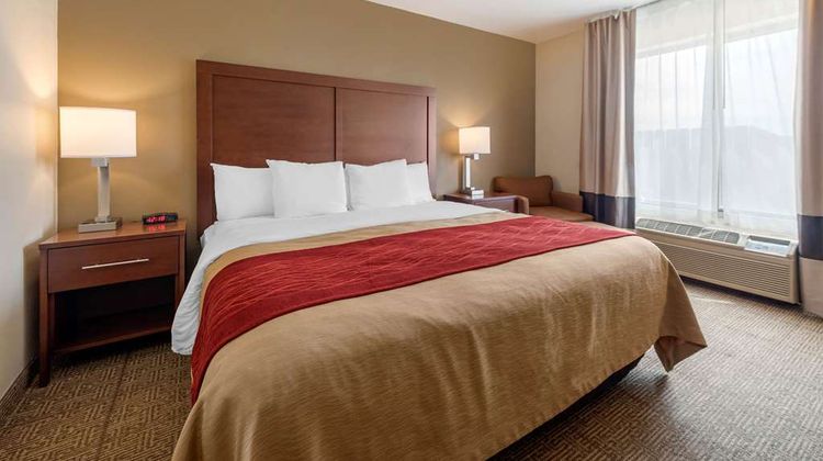 Comfort Inn Limon Room