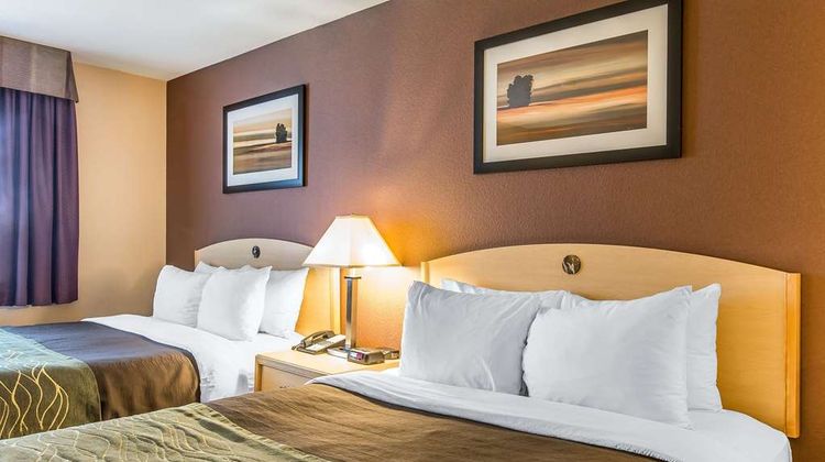 Quality Inn & Suites Loveland Room