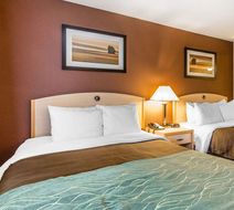 Quality Inn & Suites Loveland Room