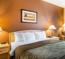 Quality Inn & Suites Loveland Room