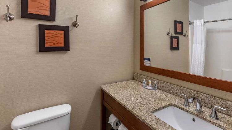Comfort Inn & Suites Room