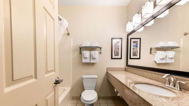 Quality Inn & Suites University Room