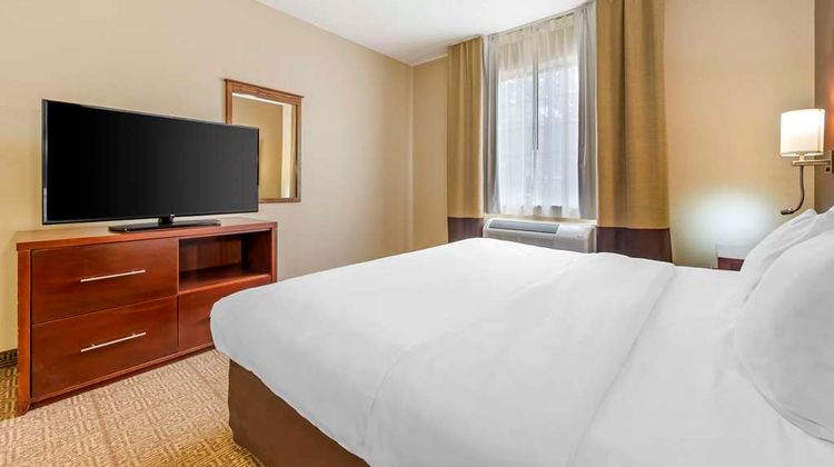 Comfort Suites Castle Rock Room
