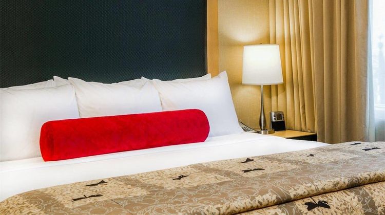 Cambria Hotel Denver Intl Airport Suite
