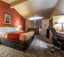 Rodeway Inn Brush Room