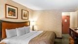 <b>Quality Inn & Conference Center Downtown Room</b>. Images powered by <a href="https://iceportal.shijigroup.com/" title="IcePortal" target="_blank">IcePortal</a>.