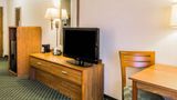Quality Inn and Suites Room