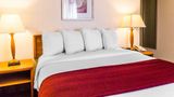 Quality Inn and Suites Room