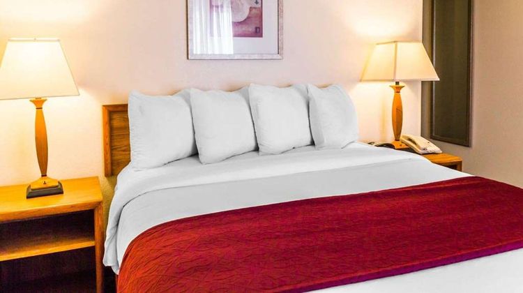 Quality Inn and Suites Room