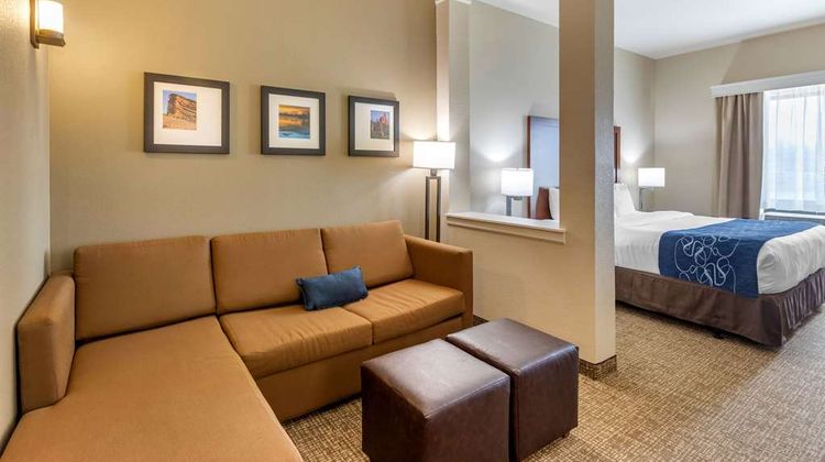 Comfort Suites Suite