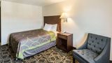 <b>Rodeway Inn Leadville Room</b>. Images powered by <a href="https://iceportal.shijigroup.com/" title="IcePortal" target="_blank">IcePortal</a>.